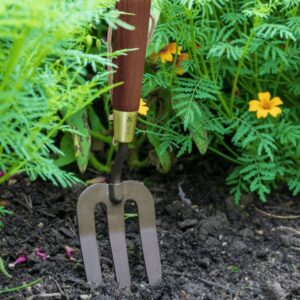 National Trust Hand Fork 3