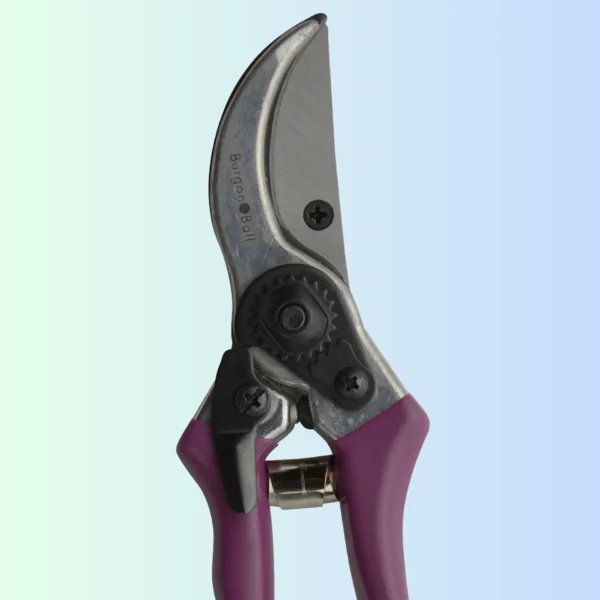 passi flora secs (5)
