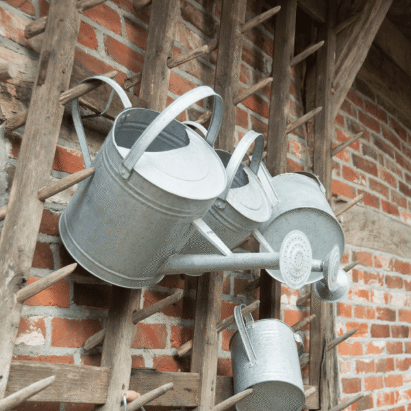6.6lt metal watering can lifestyle 3