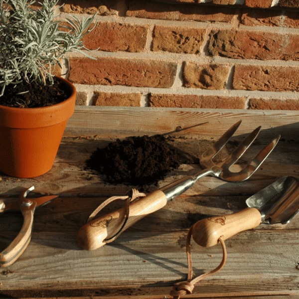 garden hand fork 5