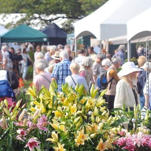 Autumn Harrogate Flower Show