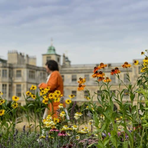 BBC Gardeners World Autumn Fair