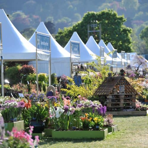 Malvern autumn show
