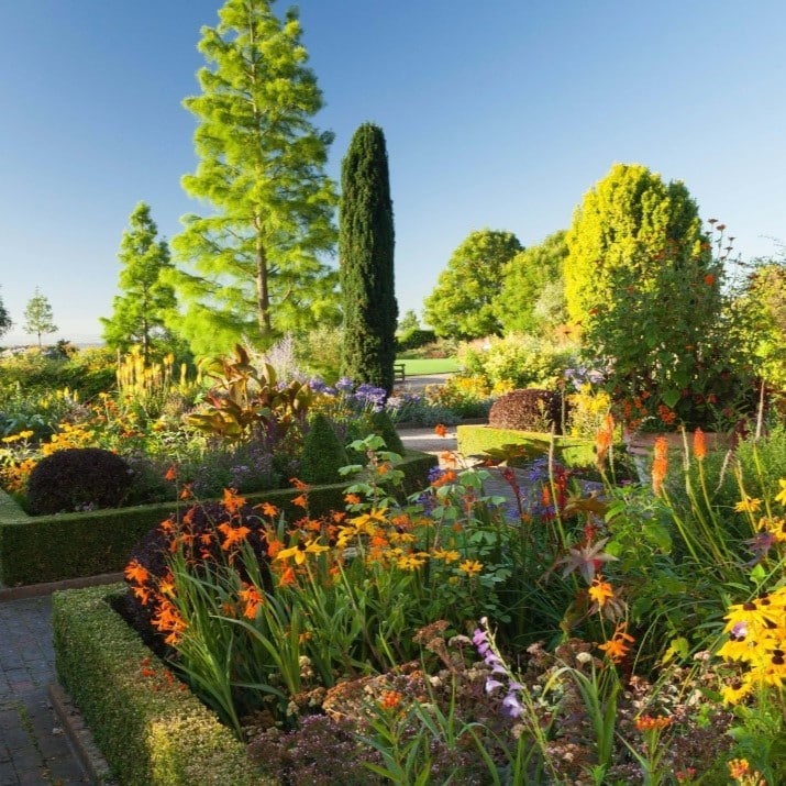 RHS Garden Hyde Hall Flower Show