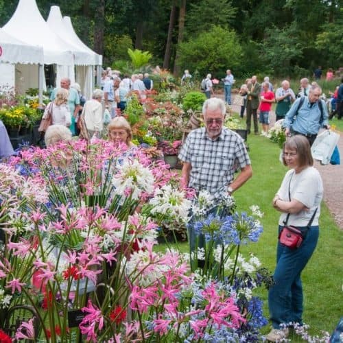 RHS Garden Wisley Flower Show